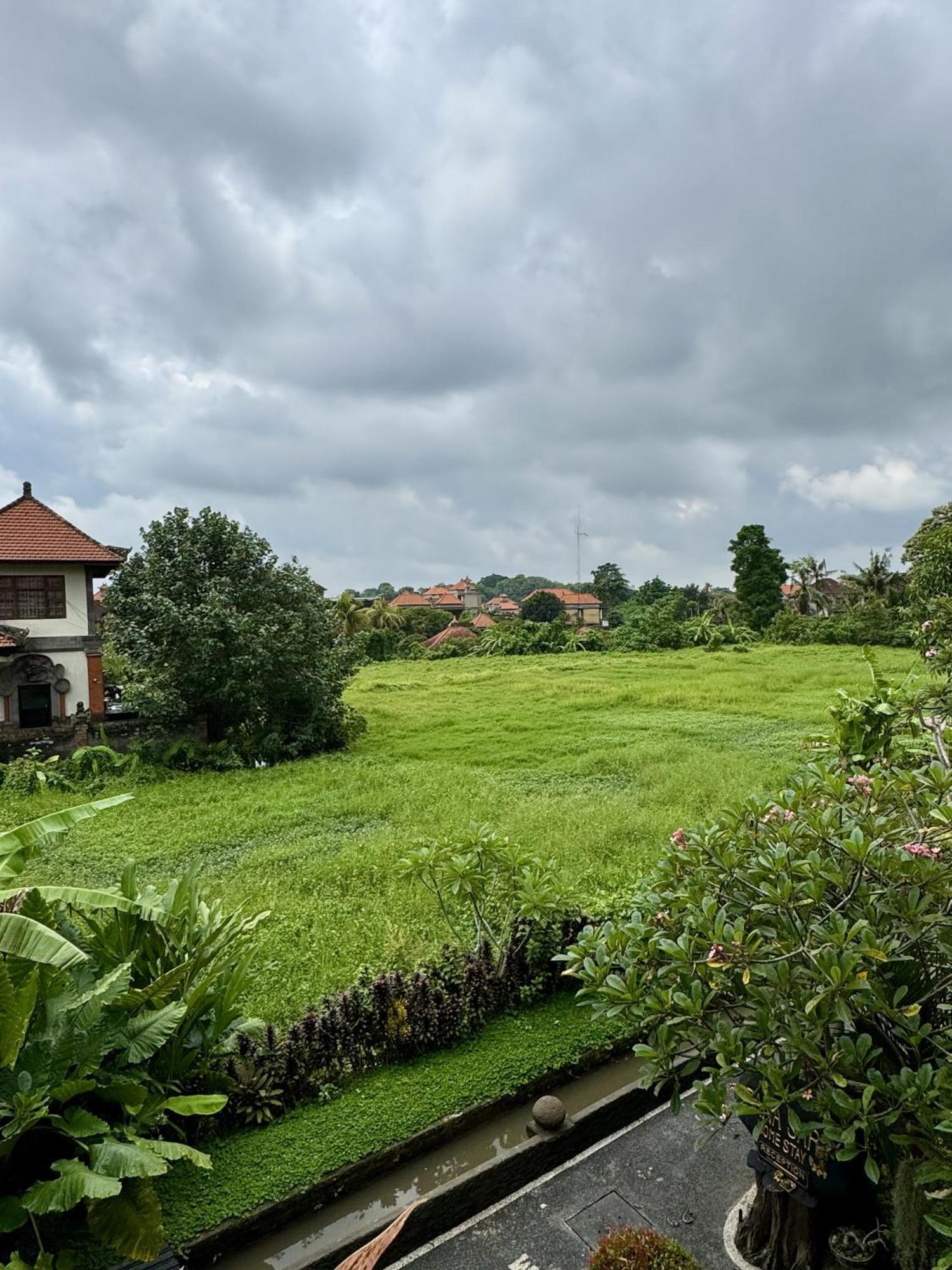 Danasari Homestay Ubud Exterior foto
